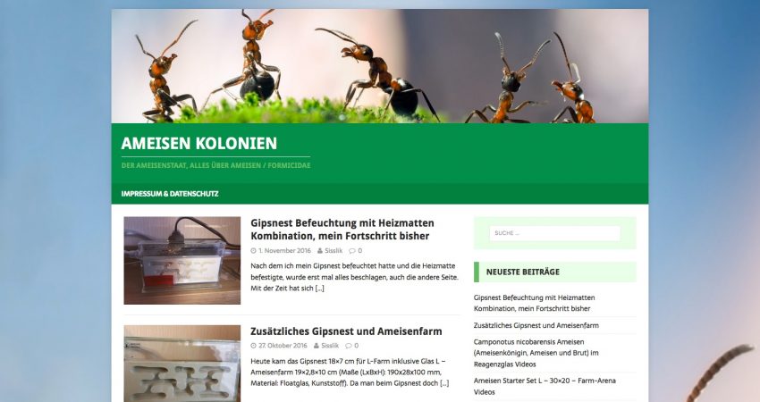 Ameisen-Kolonien.de – Haltungsberichte von Ameisen